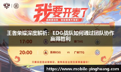 王者荣耀深度解析：EDG战队如何通过团队协作赢得胜利